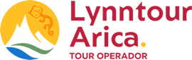 Lynn Tour Arica