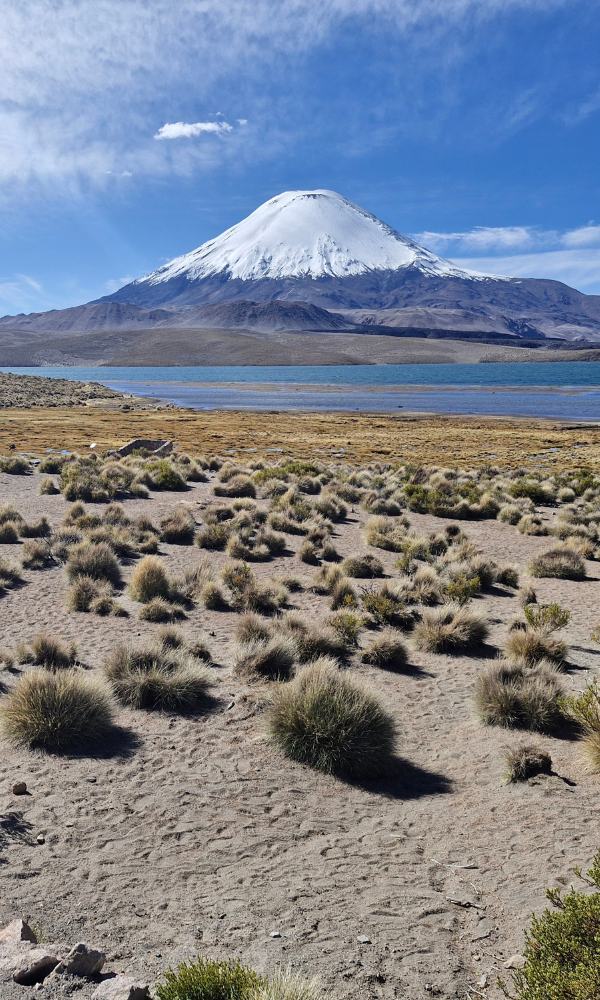 aventuras sin límites