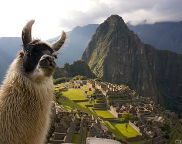 5 Days - 4 Nights: Arica - Cusco - Sacred Valley - Machu Picchu - Arica