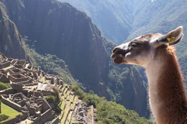 Peru and Bolivia Tours