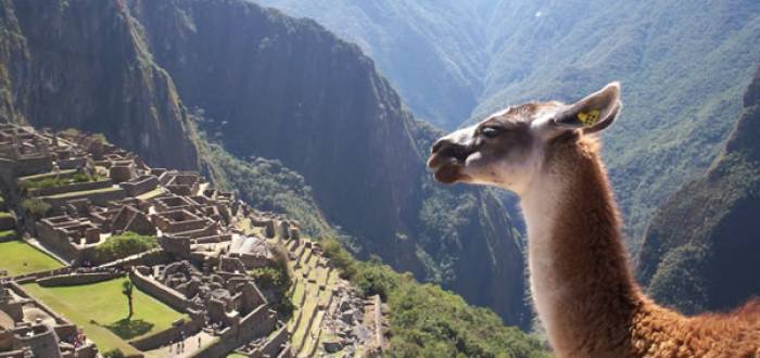 Travel to Peru