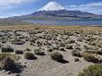 Altiplano una experiencia única