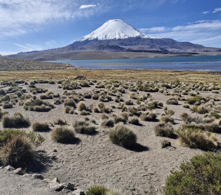 Altiplano una experiencia única