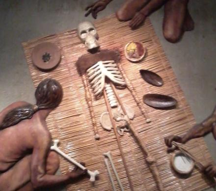 Chinchorro Expedition