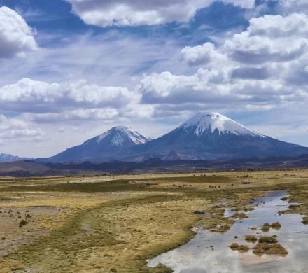 Parque Nacional Lauca 2D/1N