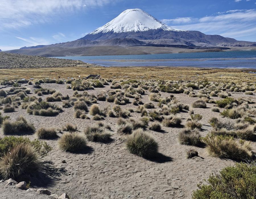 Altiplano una experiencia única