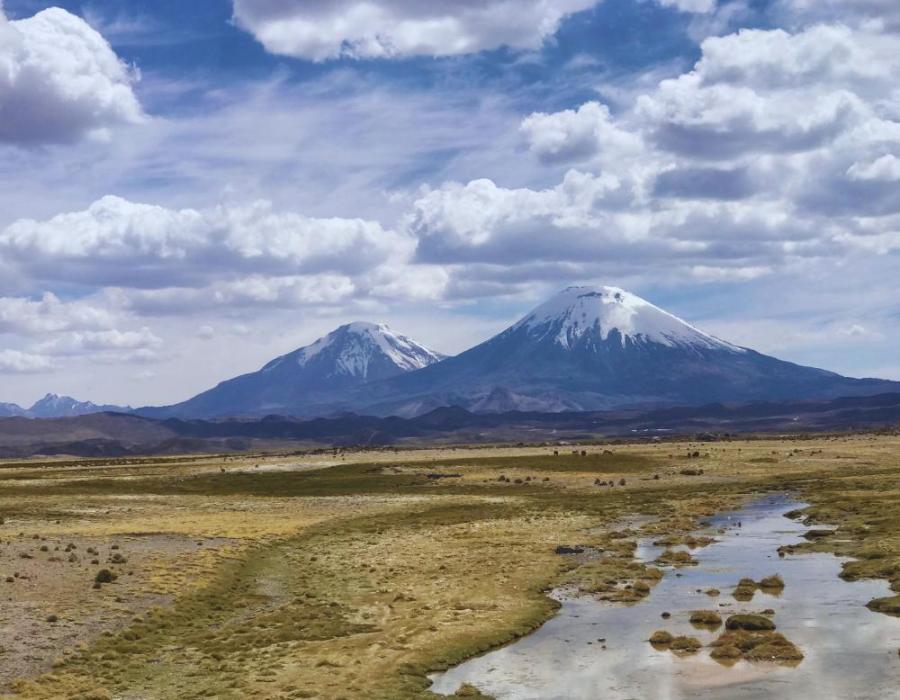 Parque Nacional Lauca 2D/1N