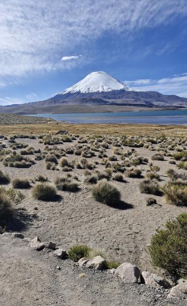 Altiplano Andino