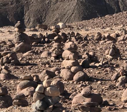 Lauca National Park