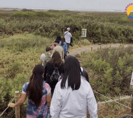 Borde Costero y Biodiversidad