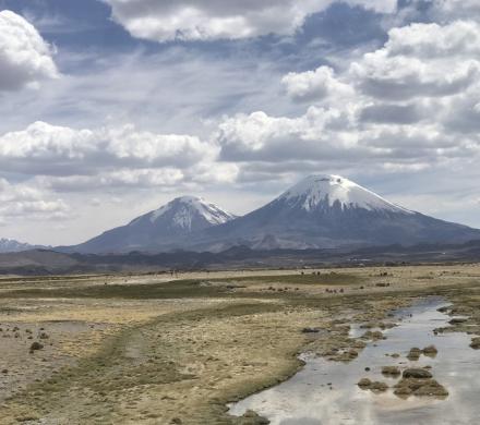 Let’s Enjoy the Altiplano